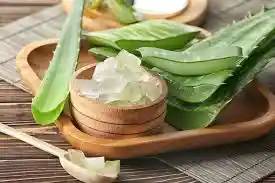 Benefits of Aloe Vera for Hair, Skin and Weight-Loss..